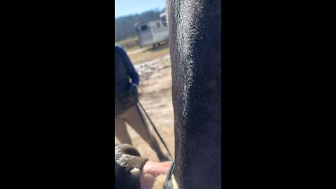 Saturday fun at the stables