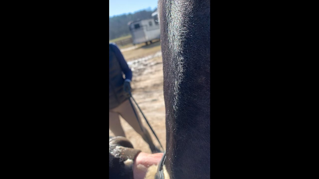 Saturday fun at the stables