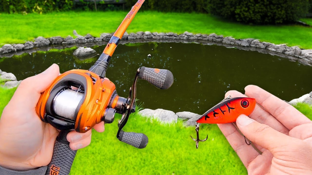 Searching for GIANT Bass in SMALL Ponds!