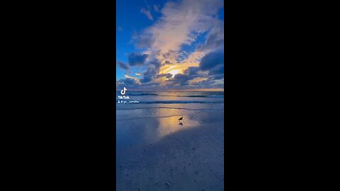 Beach Sunset