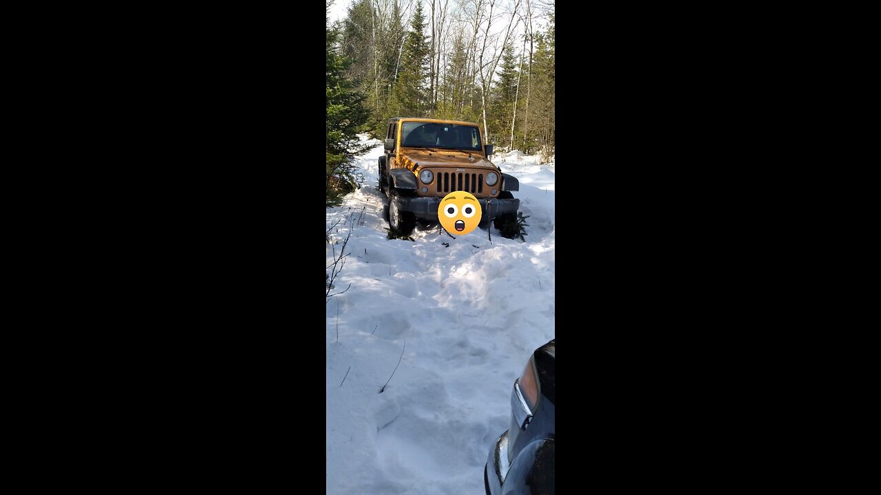 Jeeps and AK's