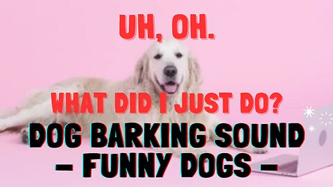 Dog Barking Videos Compilation