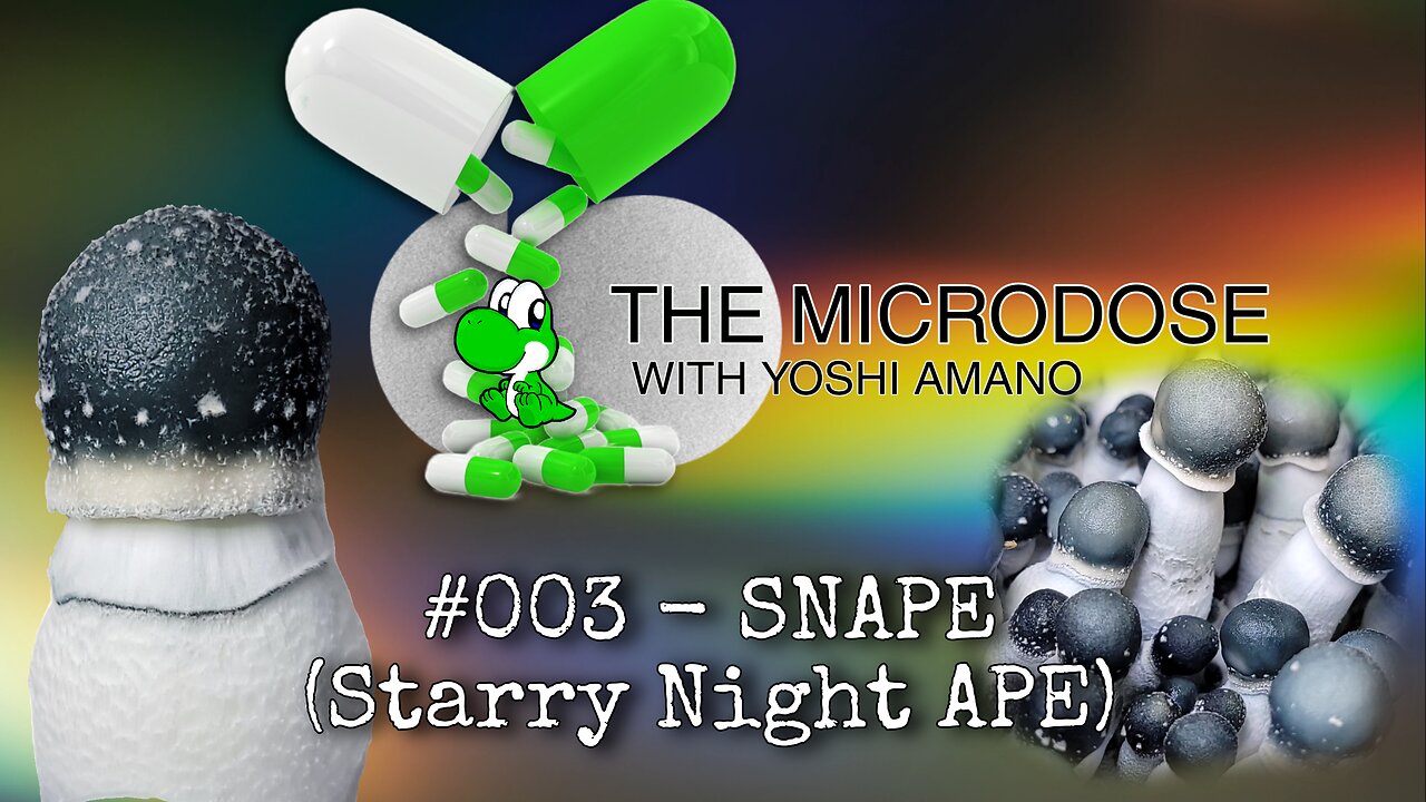 SNAPE Project - The Microdose w Yoshi Amano ep 003