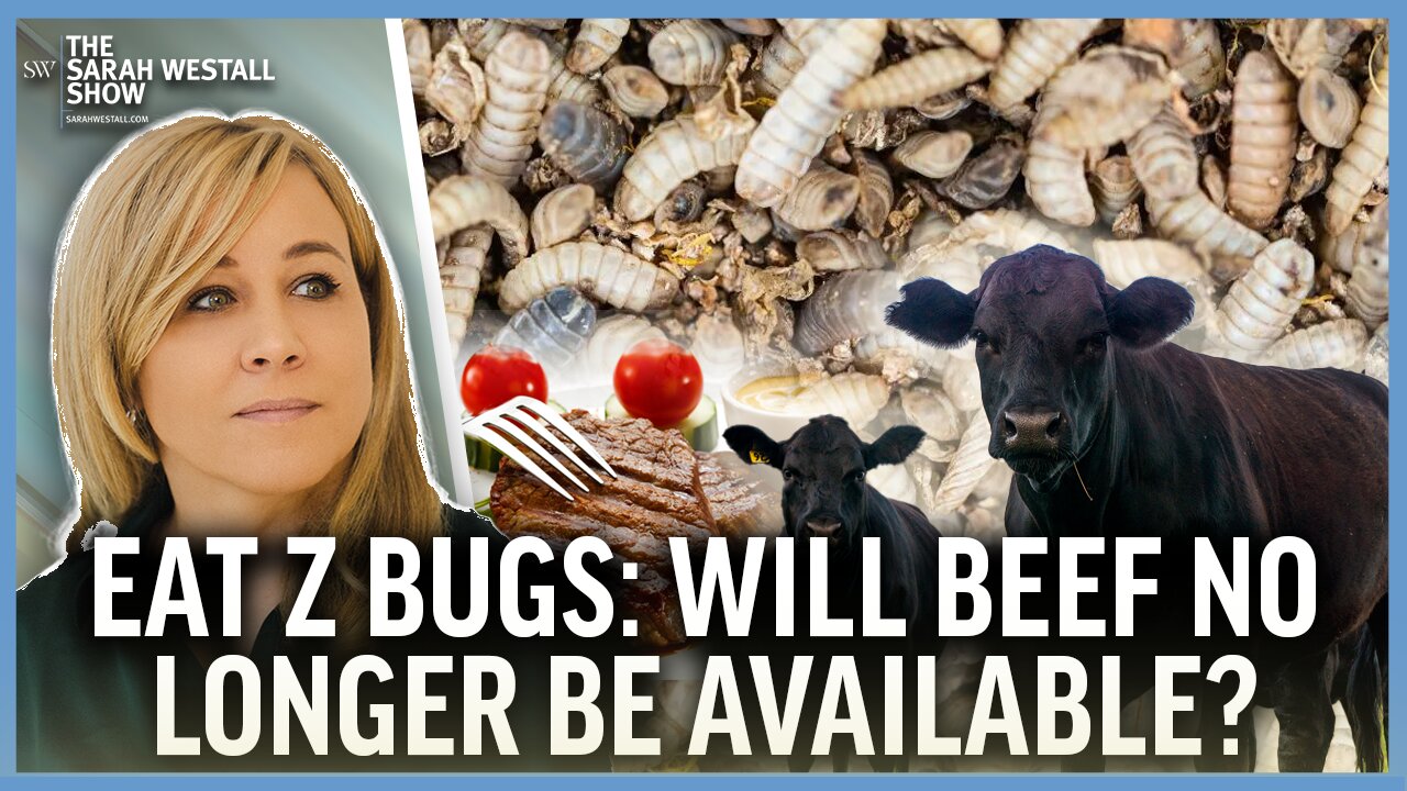 Attack on Beef Suppliers, Bug Protein already in many Products, Legislation Against Amazon