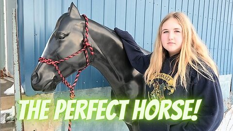 We Finally Found The Perfect Horse!