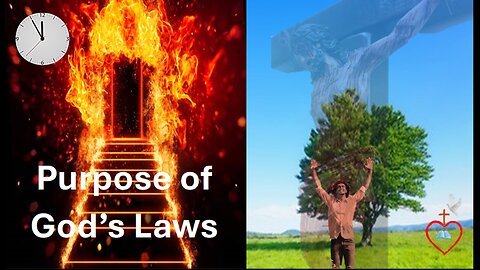 Purpose of God's Laws