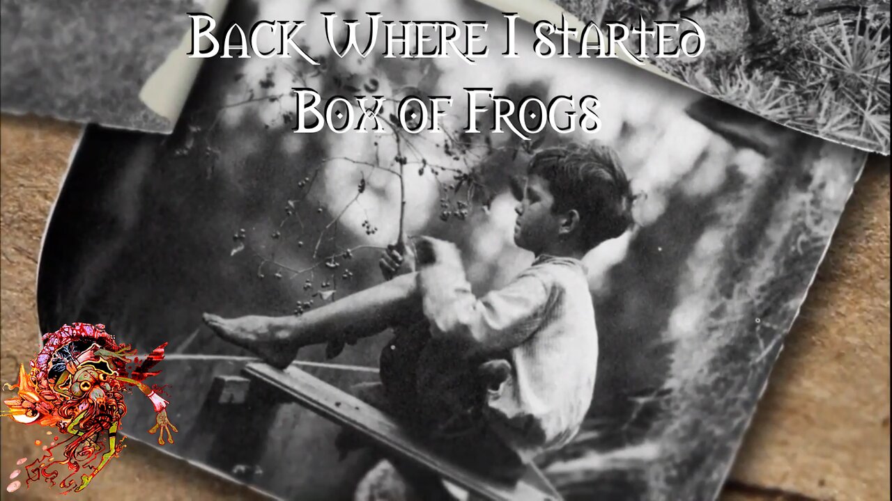 Back Where I Started Box of Frogs