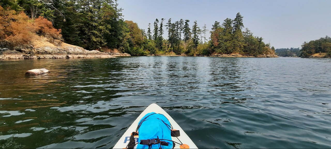 Paddleboarding | August 2023 | First time on the ocean