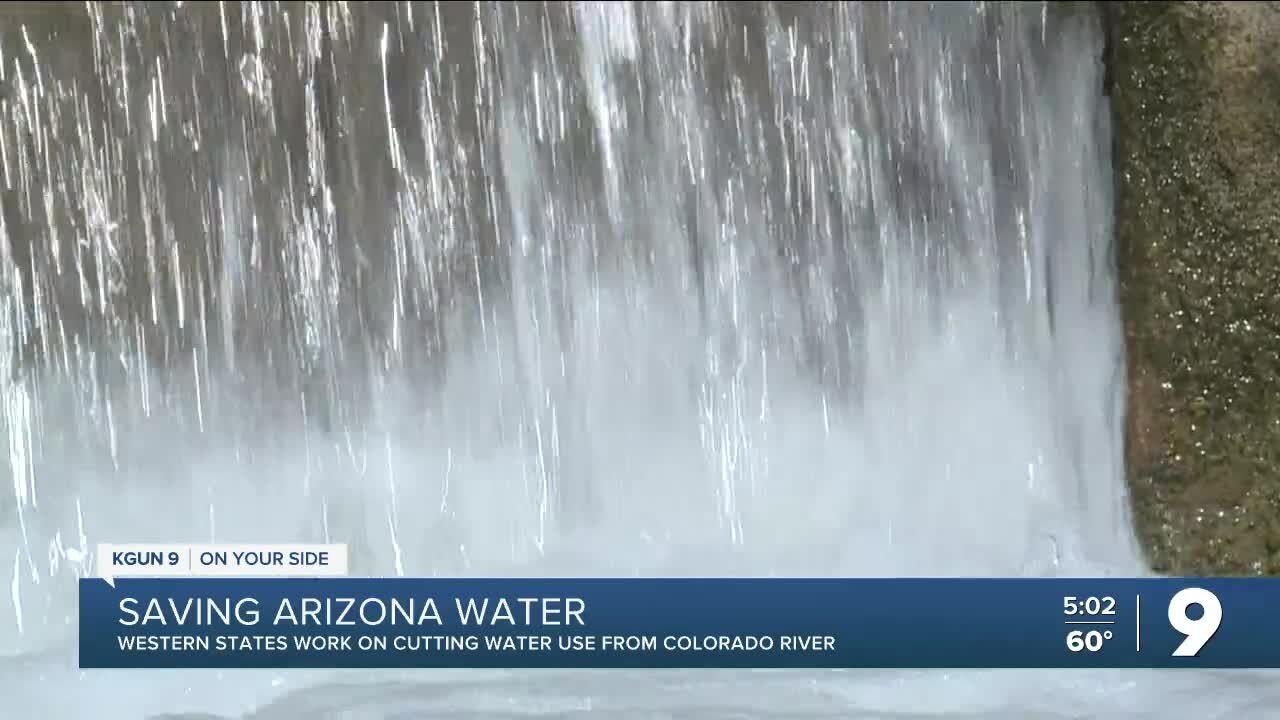 Saving Arizona Water