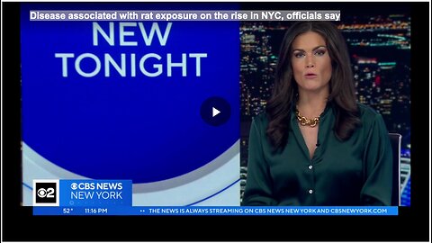 Disease associated with rat exposure on the rise in NYC, officials say