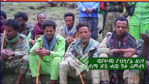 ኮረኔል ፋንታሁን ሙሀባው እና ዋርካው ምሬ ወዳጆ የትግሉን ወቅታዊ ሁኔታ አስመልክቶ በቪዲዮ ያስተላለፉት መልዕክት