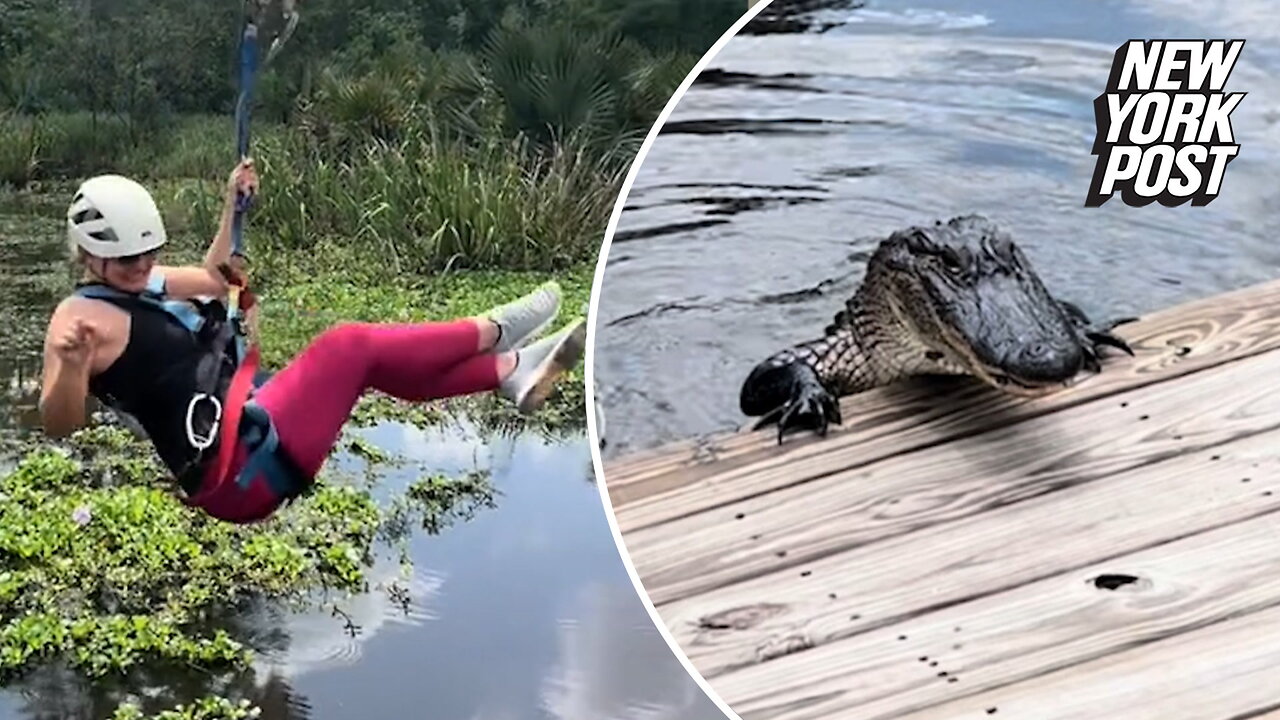 Gator almost got woman zip-lining dangerously low over swamp