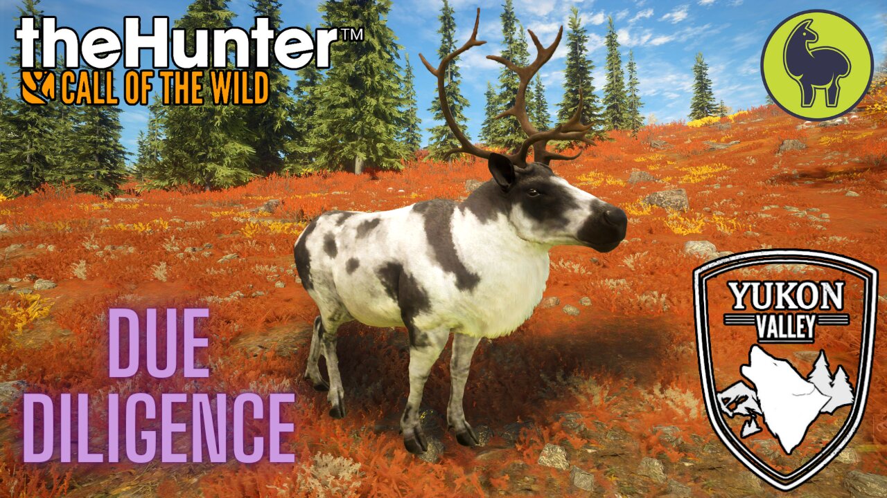 Due Diligence, Yukon Valley | theHunter: Call of the Wild (PS5 4K)