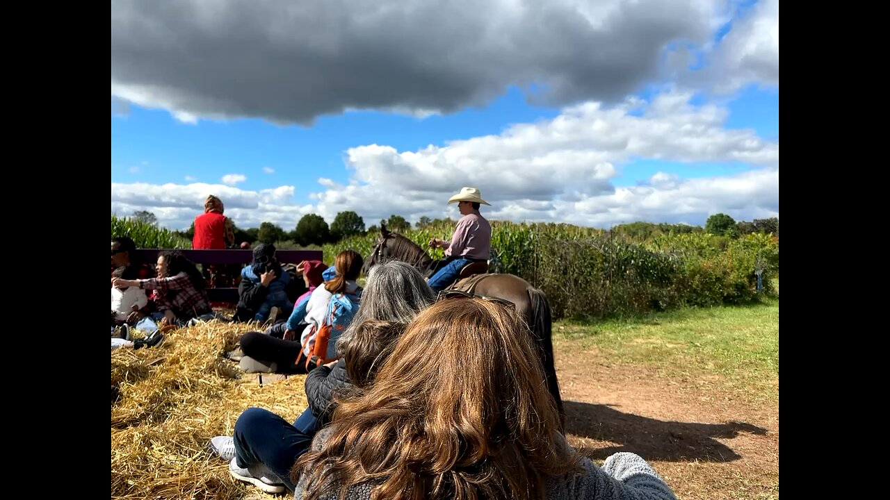 halloween hayrides