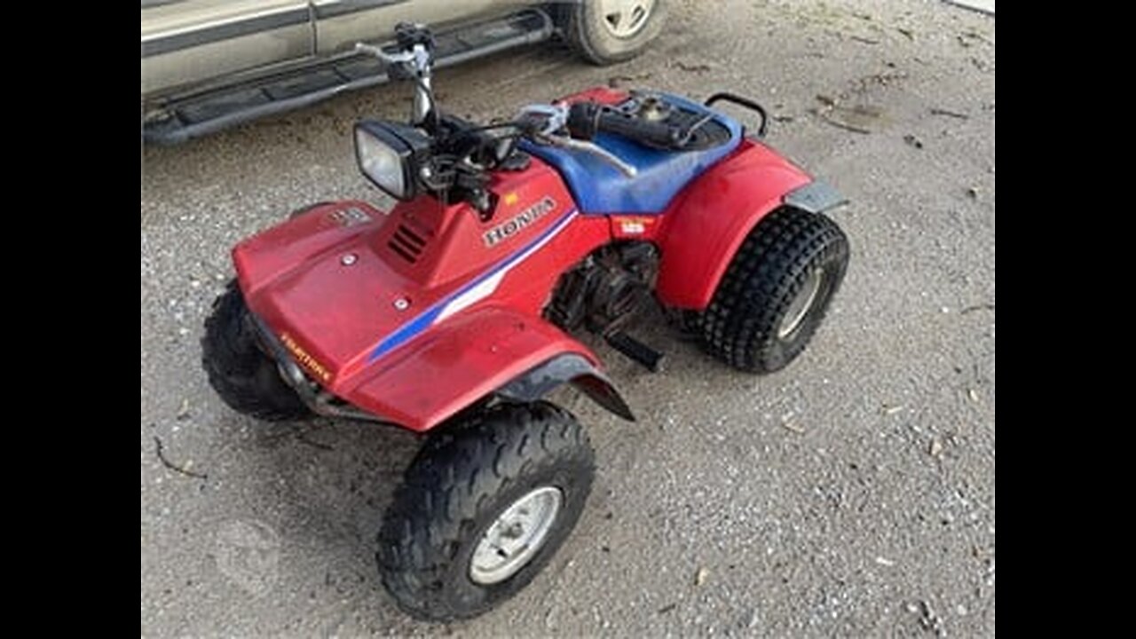 ATV Fun in The Woods: Honda TRX 125 and Suzuki ALT 125