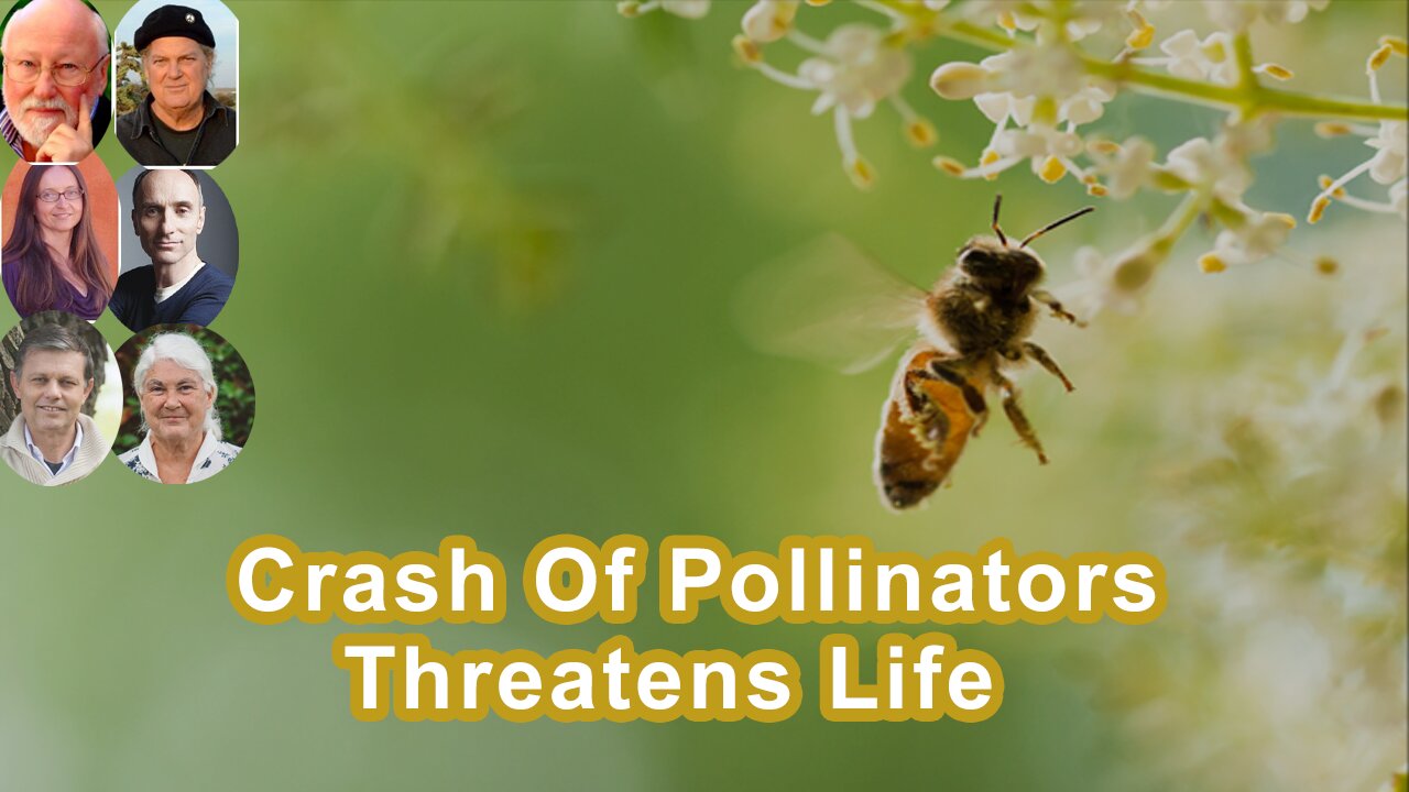 Why The Incredible Ecological Crash Of Bees And Pollinators Threatens Life As We Know It