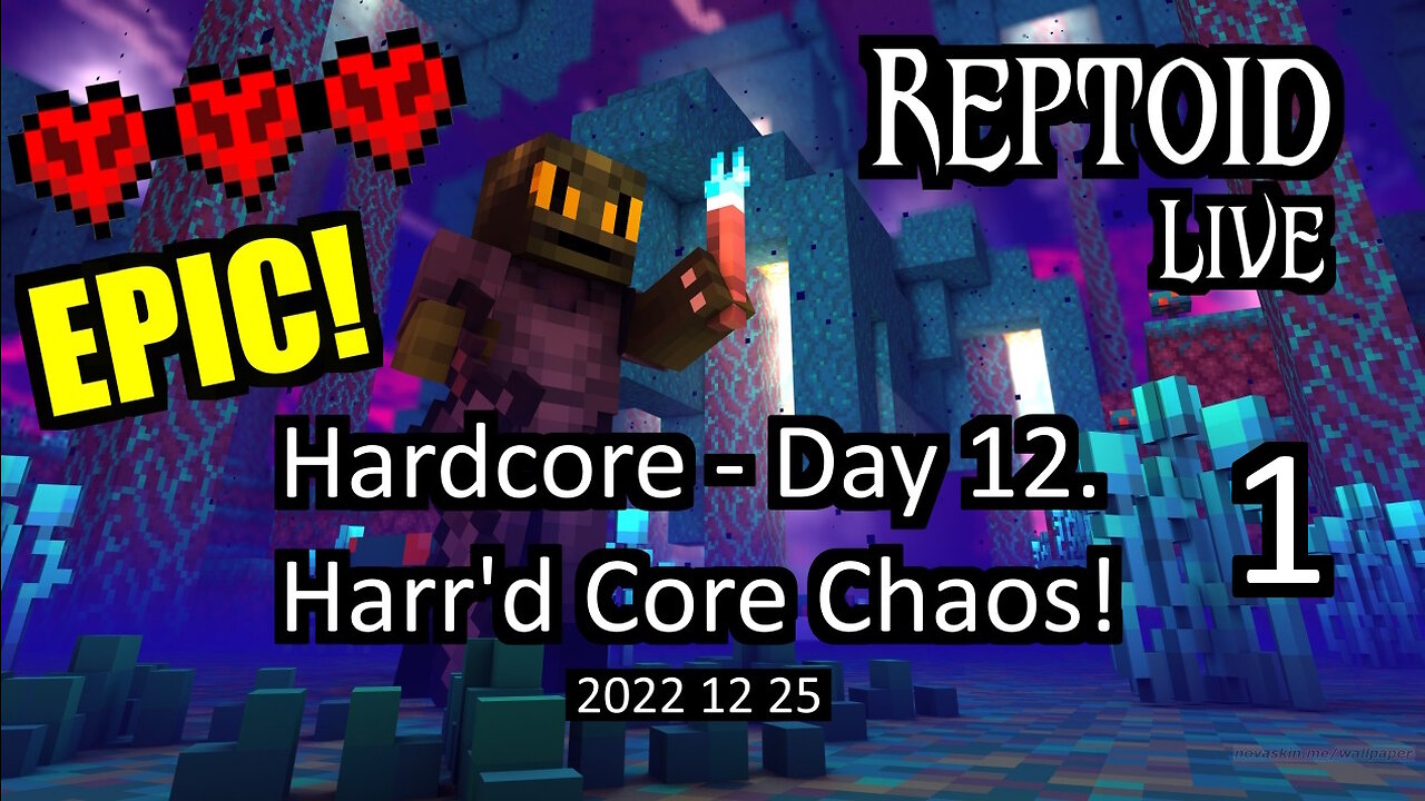 Hardcore vibe - Day 12 - Harr'd Core Chaos! - 2022-12-25 - Part 1 of 2.