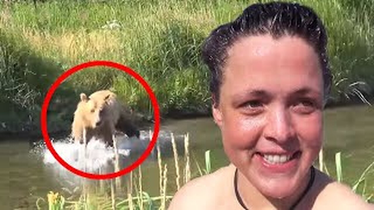 60 Scariest Bear Encounters of The Year
