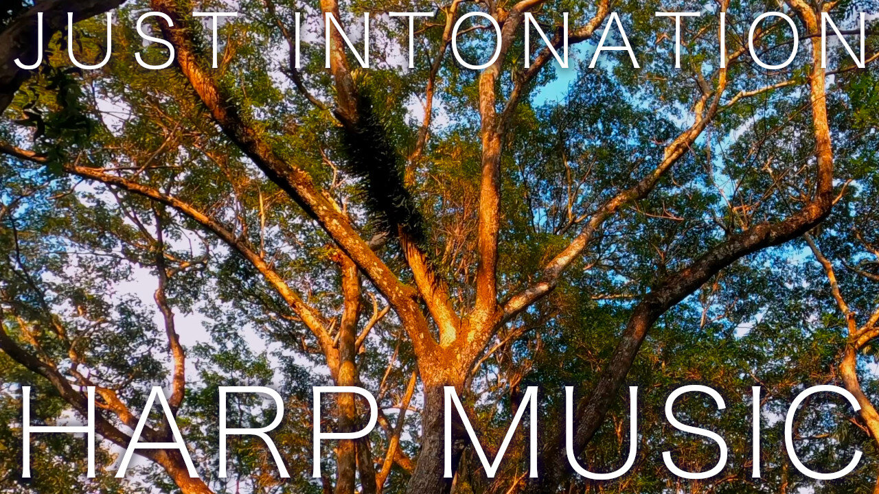 Just Intonation Music / Single Loop 🌿Gently Snuggle Up Harp Music #39 🌿 A=432hz