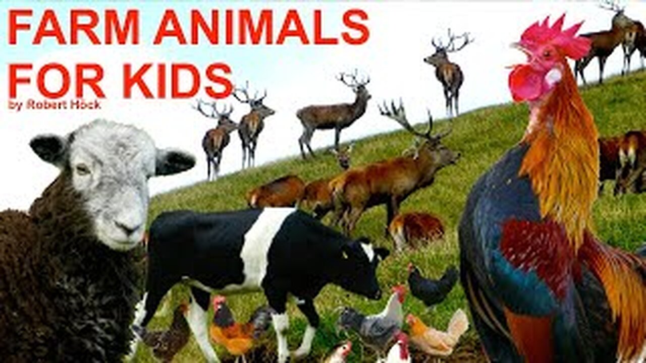 ANIMAL SOUNDS FOR CHILDREN - Tierstimmen für Kinder - Animal sounds for children - Bauernhoftiere