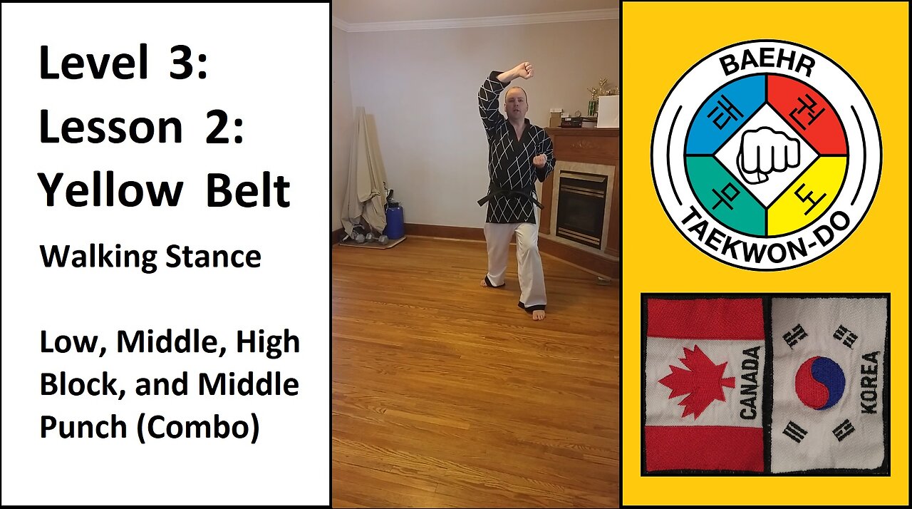 Baehr Taekwondo: 03-02: Yellow Belt: Walking Stance - Low, Middle, High Block, and Punch Combo