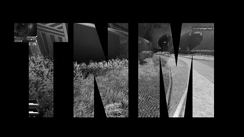 T&R -TNM- APEX MONTAGE 2023