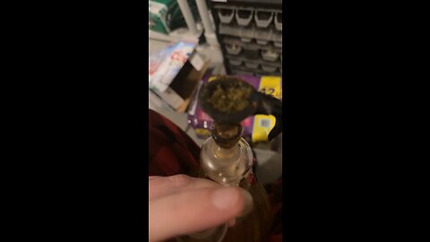 Day 6 I don’t understand Rumbles rules either lmfao