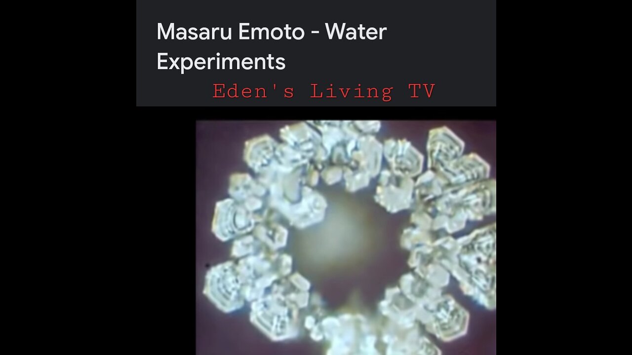 Water holds MEMORY and WORDS affect the Molecular makeup _ Eden's Living TV