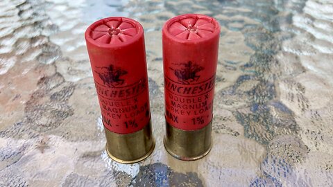 Vintage Winchester Double X 12 Gauge 2.75” 1 5/8Oz Turkey Load - Breakdown