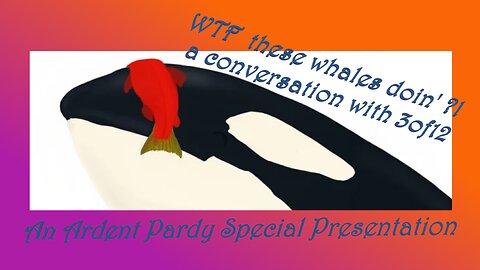 [VoD] Special - WTF These Whales Doin?! - a conversation with 3of12