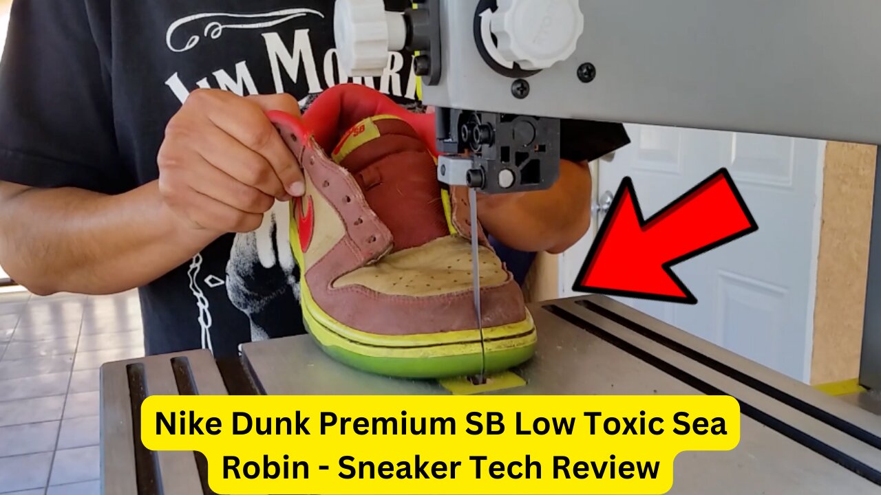 Nike Dunk Premium SB Low Toxic Sea Robin - Sneaker Tech Review