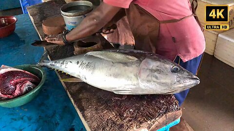 FRESH GIANT YELLOWFIN TUNA CUTTING 🐟 Superb yellowfin Tuna cutting skill, Luxurious sashimi