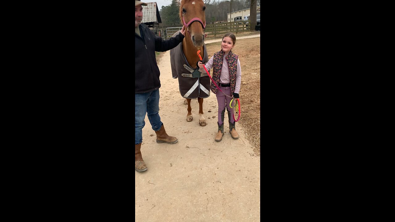 New pony