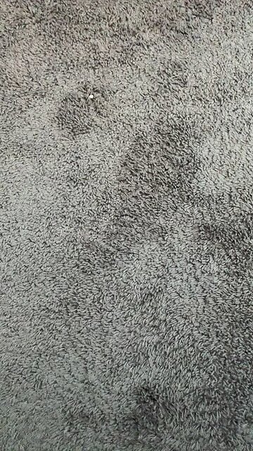 D12 public scheduled