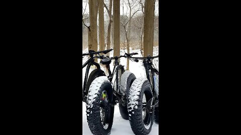 Triple Threat in the Snow! ( Fatback Rhino )