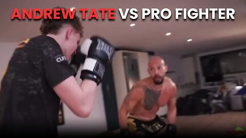 Andrew Tate BRUTALLY KNOCKS OUT Young Pro Fighter