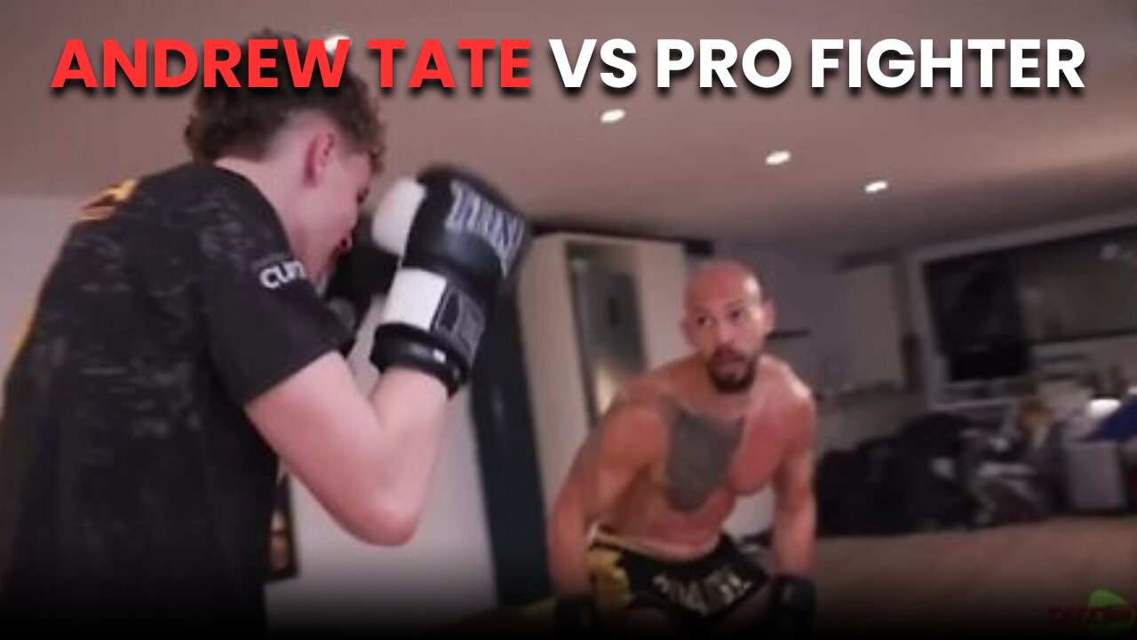 Andrew Tate BRUTALLY KNOCKS OUT Young Pro Fighter