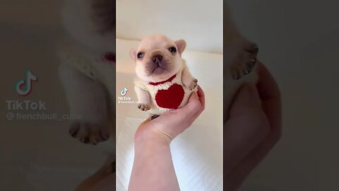 Is so sweetie baby ❤️ #tiktokvideo #shorts