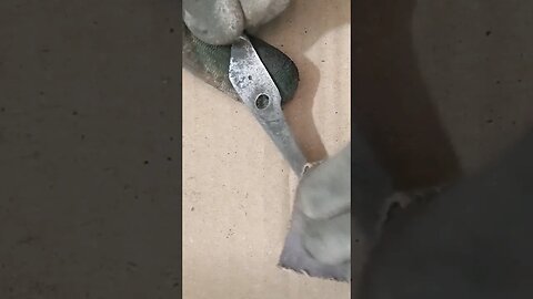 1 февраля 2023 г.