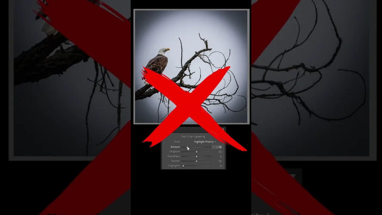 Lightroom - Is it time to quit the vignette slider?