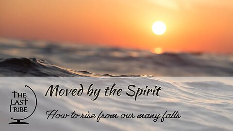 How to Rise From Our Many Falls