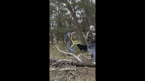 Shed Hunting Envy