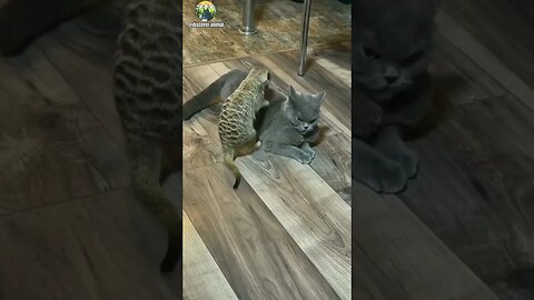 QUEM AI CURTE UMA MASSAGEM?