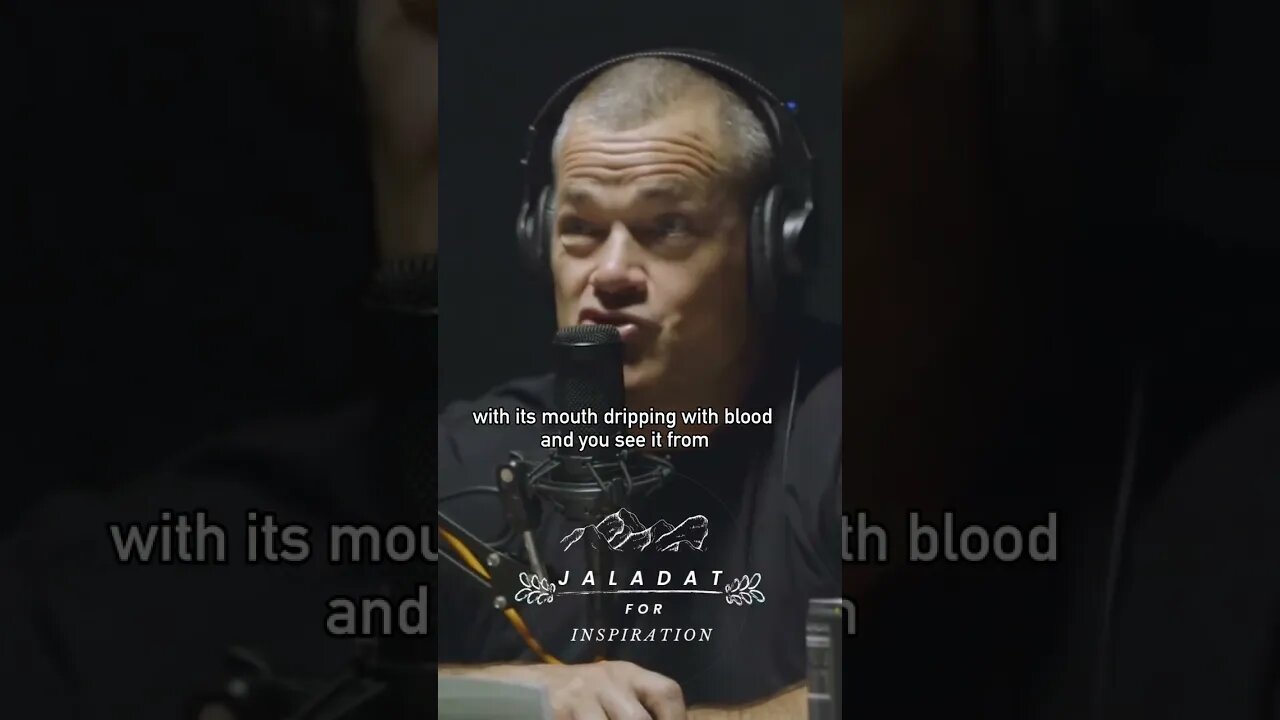 How To Not Get Hurt - Jocko Willink