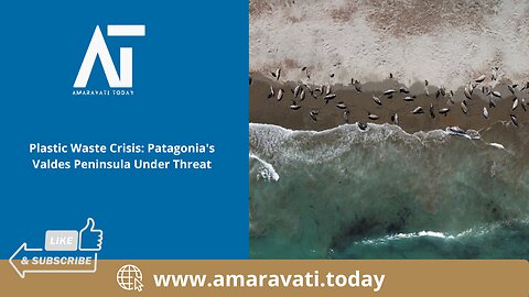 Plastic Waste Crisis Patagonia's Valdes Peninsula Under Threat | Amaravati Today