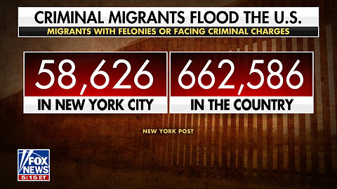 'Shocking' ICE Report Reveals Extent Of Migrant Crime Crisis In New York City