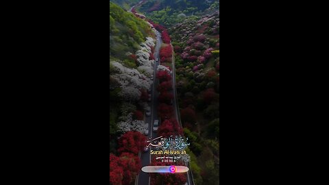Peaceful relaxing recitation of Surah_Al_Waqiah♥️