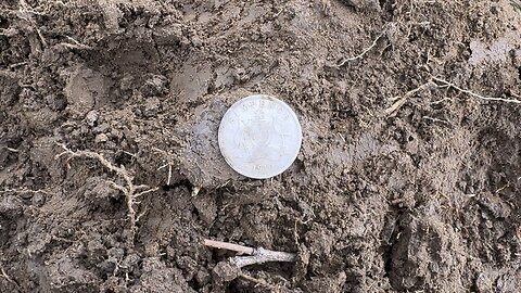 Silver On The Field Part 6
