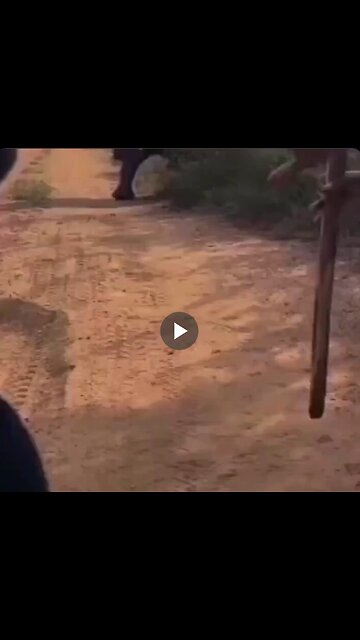 We had not invented the magic stick yet ... Let them try again now!