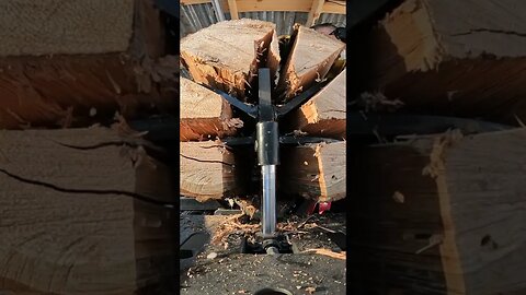 Six Way Splitting #shorts #firewood #fyp